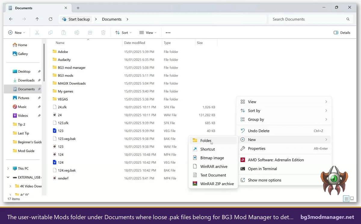 User-writable Mods folder under Documents Larian Studios where loose .pak files belong for BG3 Mod Manager detection